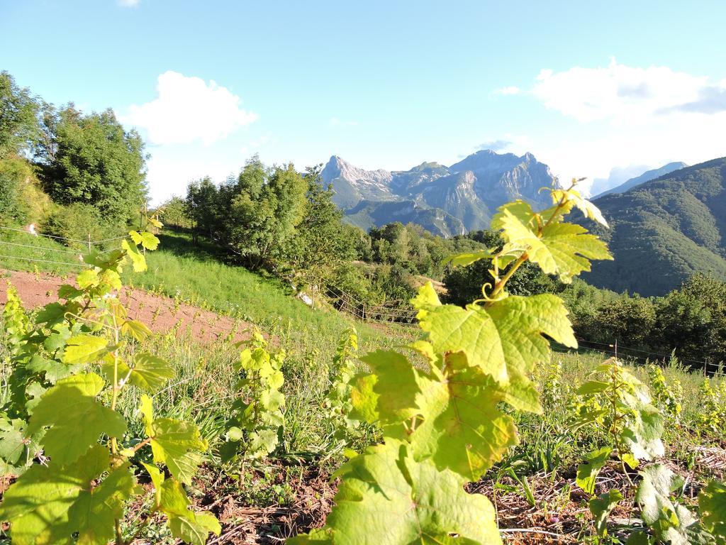 Rifugio Alpi Apuane Hotel Careggine Buitenkant foto